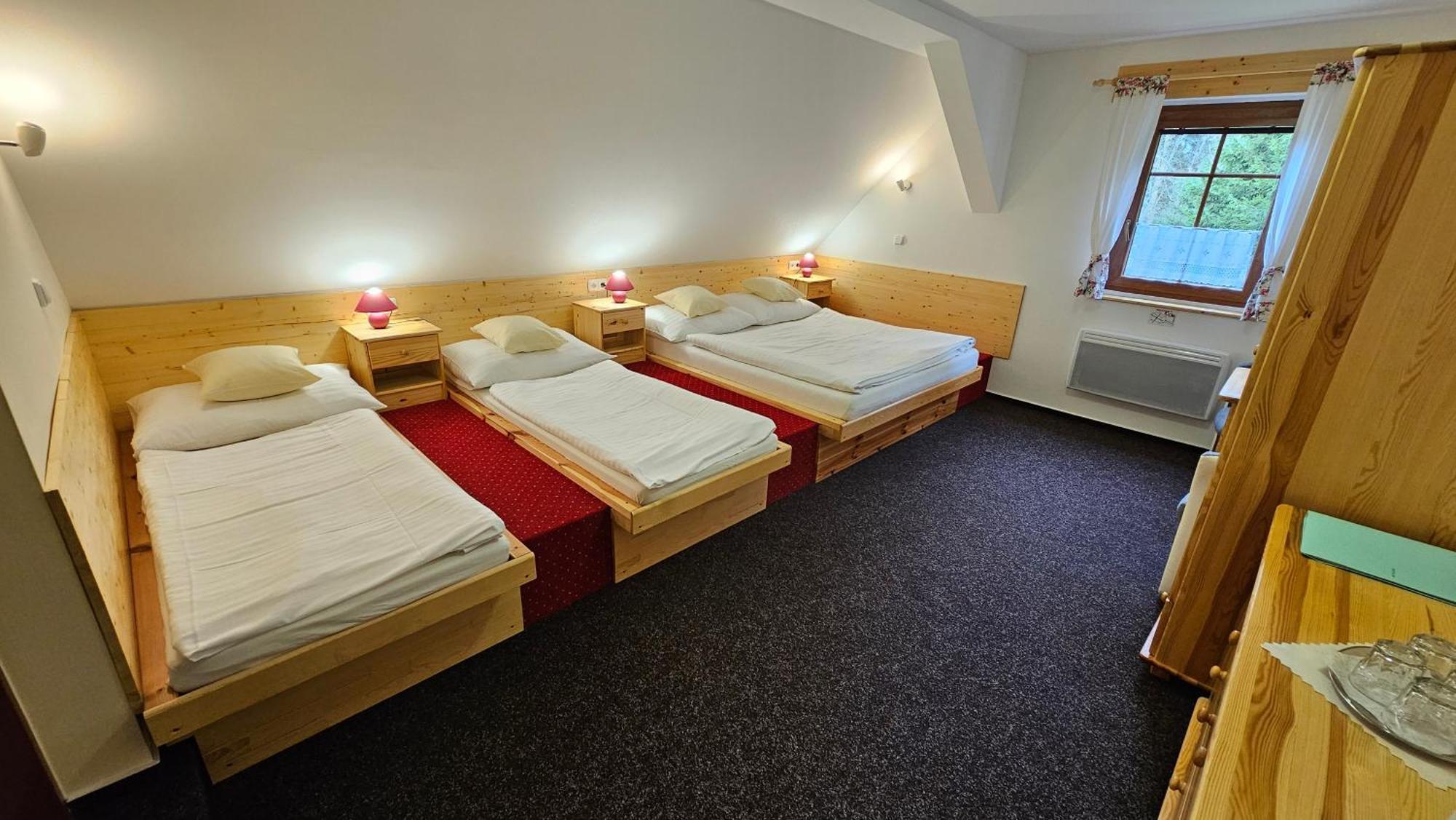 Penzion Ctyrlistek Teplice nad Metují Exterior photo